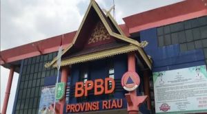 Riau Nihil Karhutla, BPBD Ingatkan Warga Jangan Buang Puntung Rokok Sembarangan