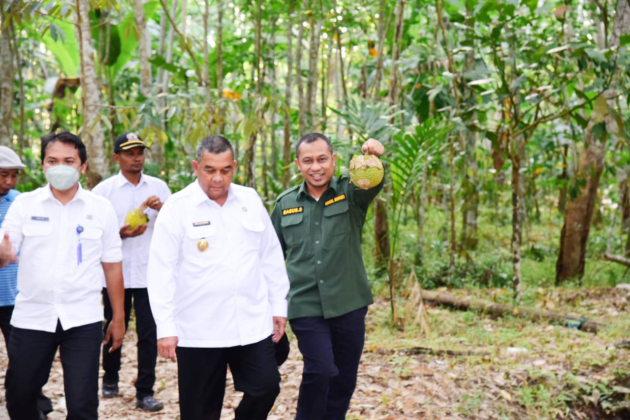 Bagus Santoso Dampingi Wagubri Sambangi Kelompok Petani Durian Desa Berancah