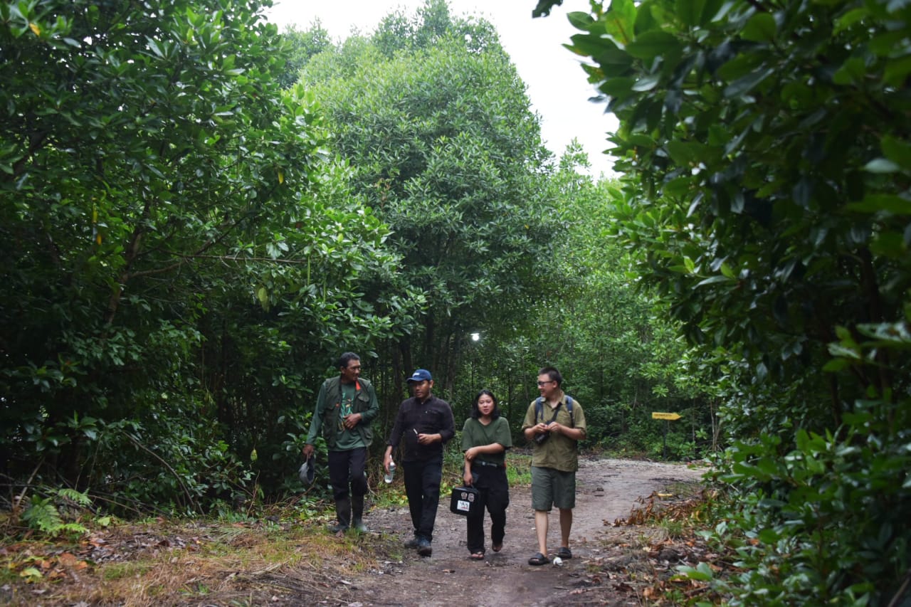 Keberadaan YKAN Mampu Sadarkan Masyarakat Desa Teluk Pambang Pentingnya Restorasi Mangrove